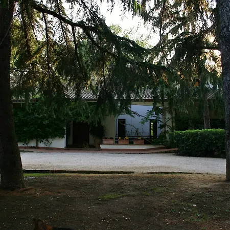 Hotel Oasis