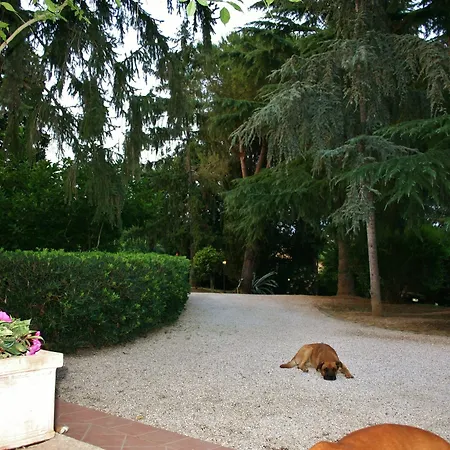 Oasis * La Storta