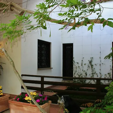 Oasis Hotel La Storta