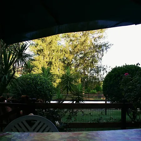 Oasis *