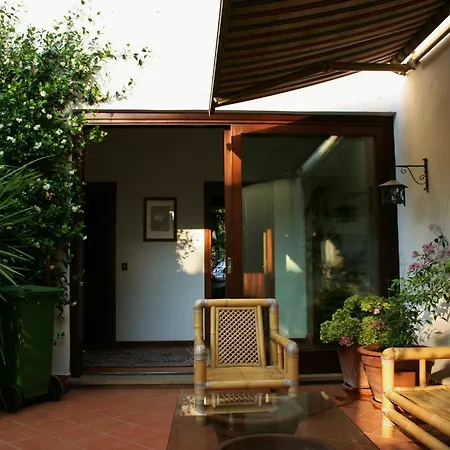 Oasis